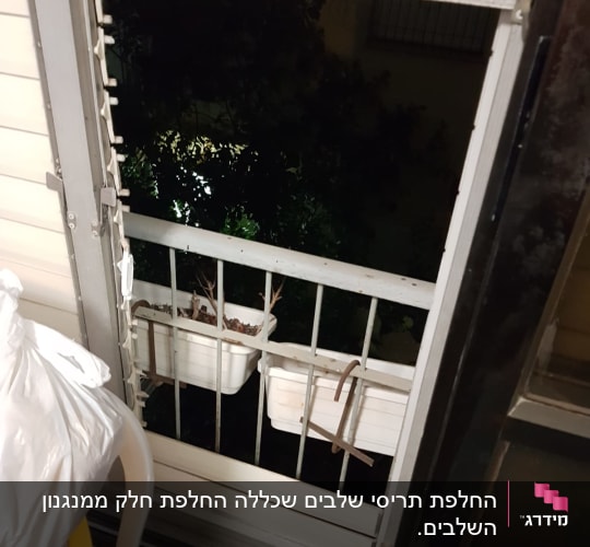 תריסים פתוחים ליד חלון עם עציצים